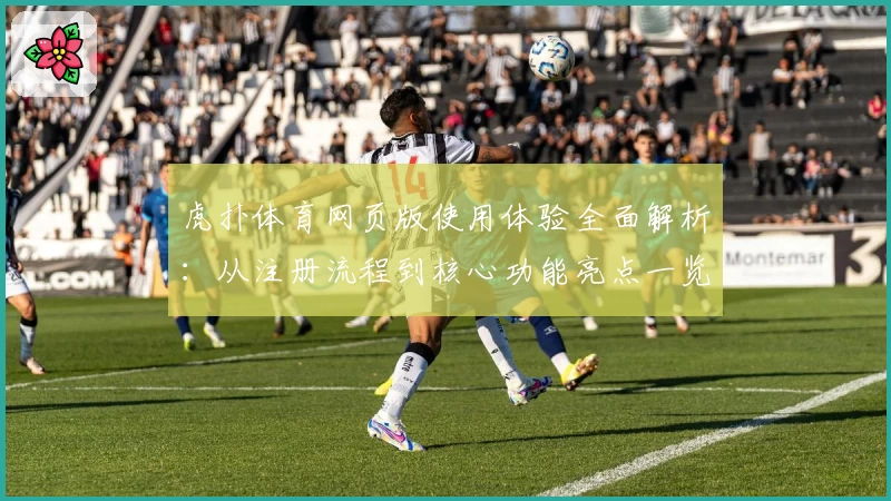 虎扑体育网页版使用体验全面解析：从注册流程到核心功能亮点一览