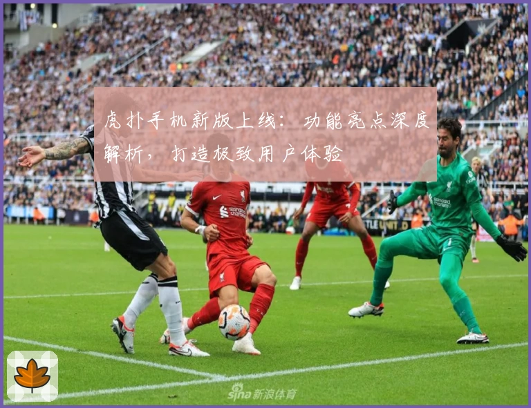 虎扑手机新版上线:功能亮点深度解析,打造极致用户体验